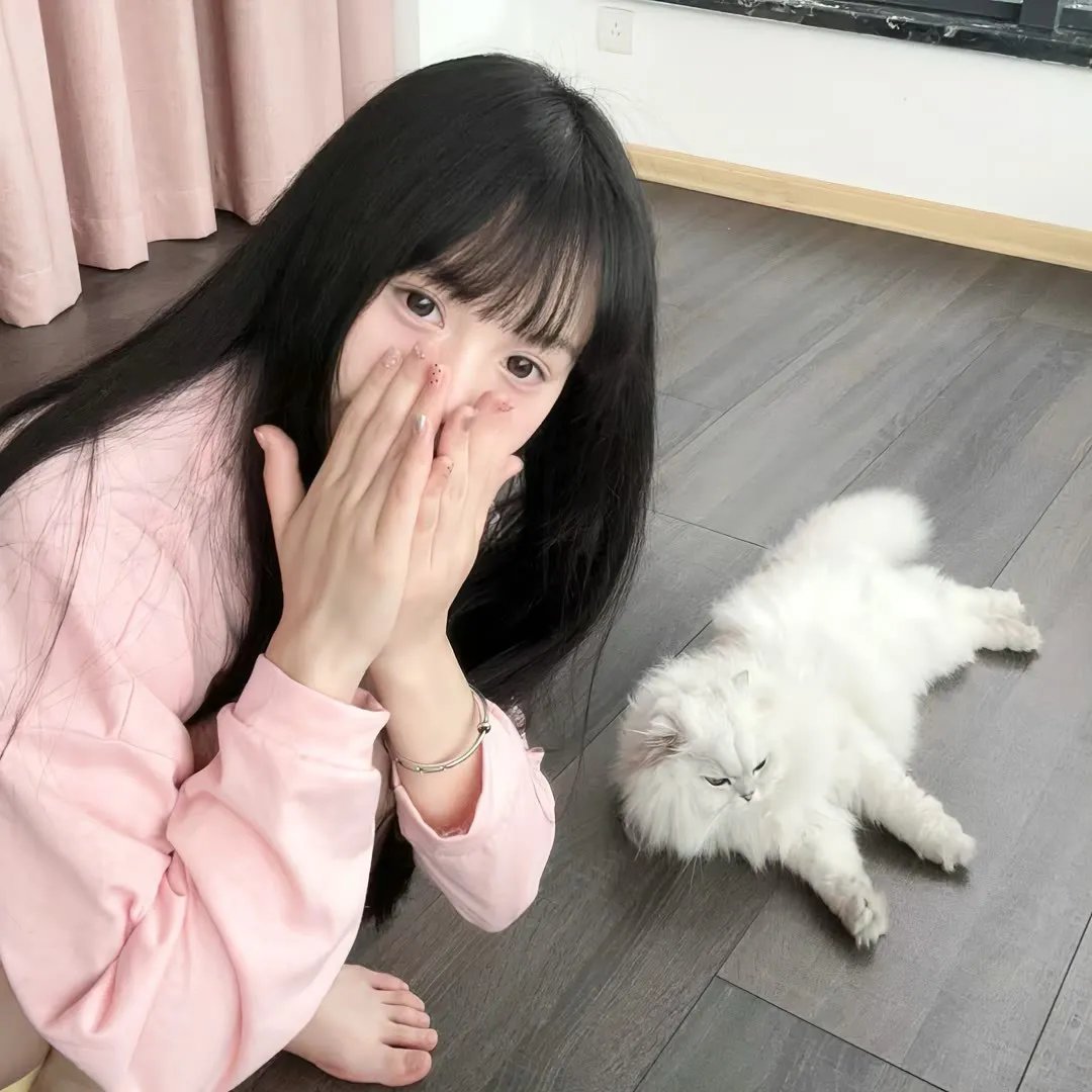 爱情公寓5
