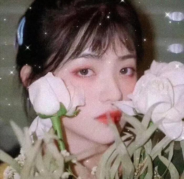 战争姐妹